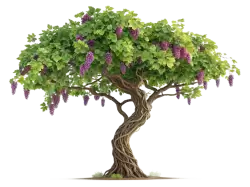 Imagen PNG para descargar